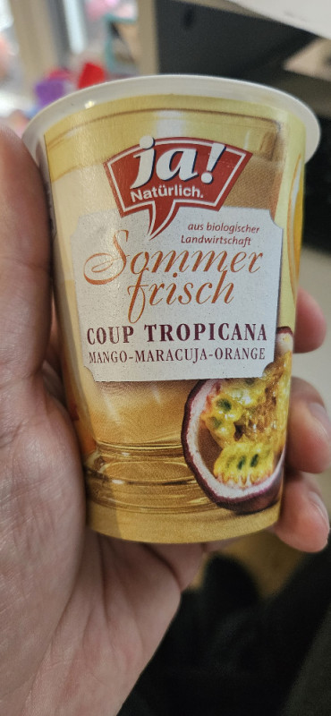 Bio-Fruchtjohurt Sommerfrische, Mango-Maracuja-Orange von einfac | Hochgeladen von: einfachnurclaus