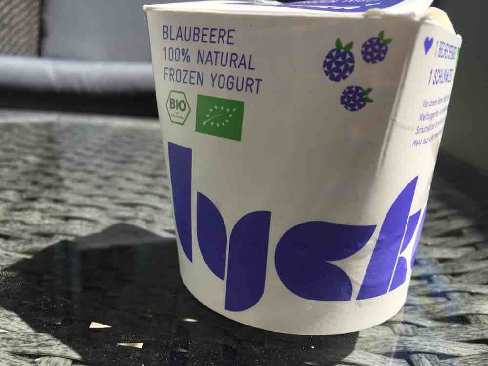 Blaubeere Frozen Yogurt von nklaebisch366 | Hochgeladen von: nklaebisch366