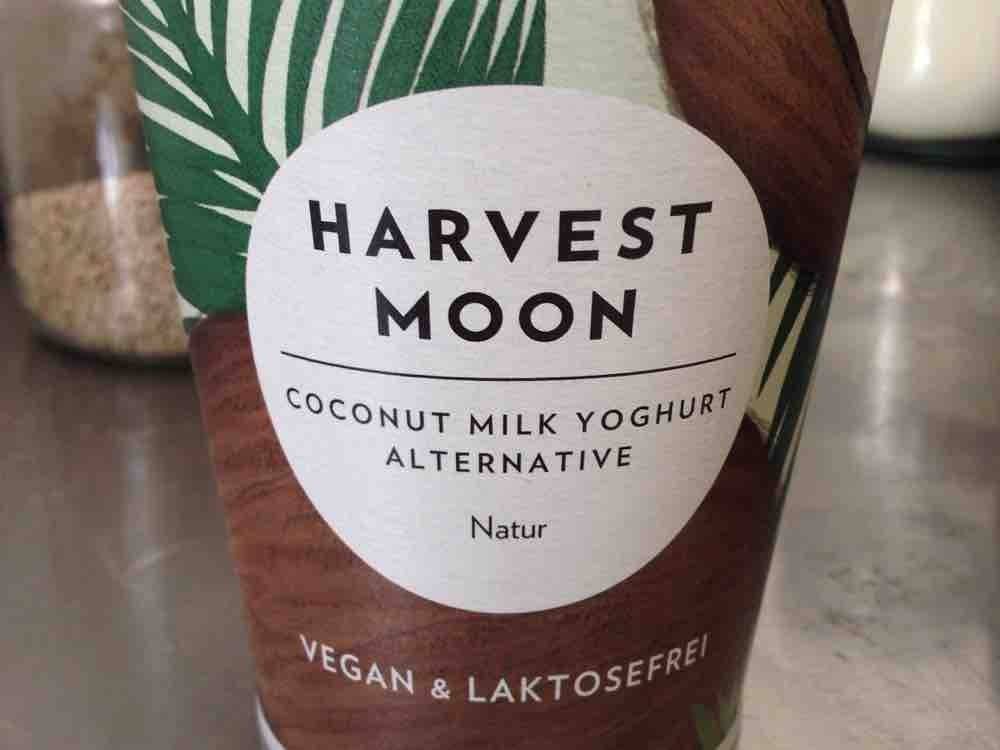 Coconut Milk Yoghurt Alternative, Natur von NoDomi | Hochgeladen von: NoDomi