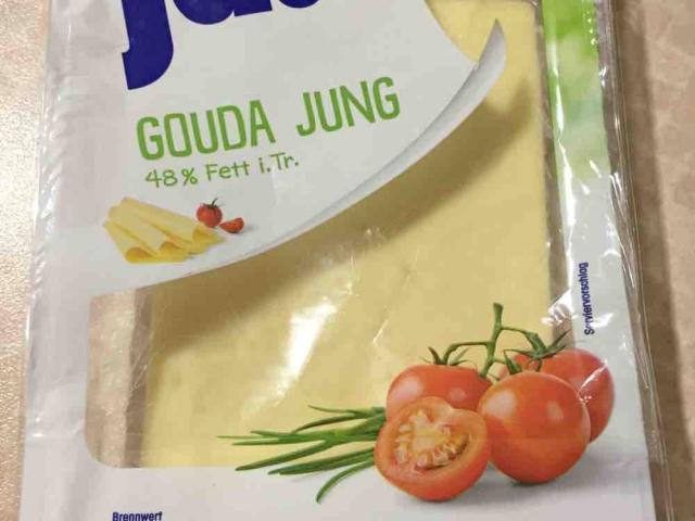 Gouda Jung, 48% Fett von Noerle | Hochgeladen von: Noerle