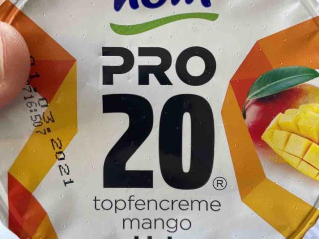 Pro 20 Topfencreme, Mango by Mego | Hochgeladen von: Mego
