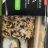Sushi Box, vegetarisch von JasminShu | Hochgeladen von: JasminShu