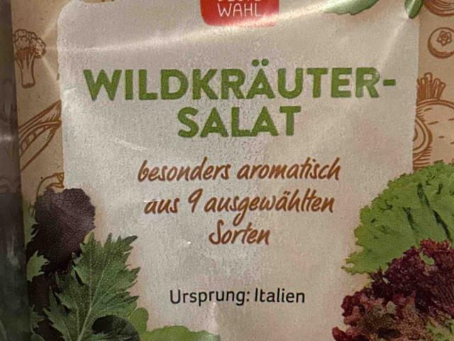 Wildkräutersalat von RsKatze0 | Hochgeladen von: RsKatze0