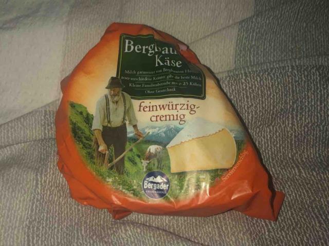 Bergbauern Käse (feinwürzig-cremig) von tjacelinaa | Hochgeladen von: tjacelinaa