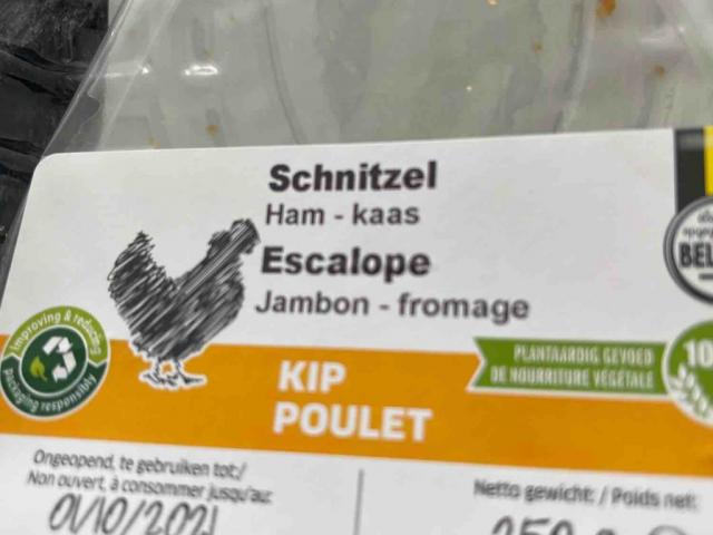 Escalope Jambon-fromage von crystal3107 | Hochgeladen von: crystal3107