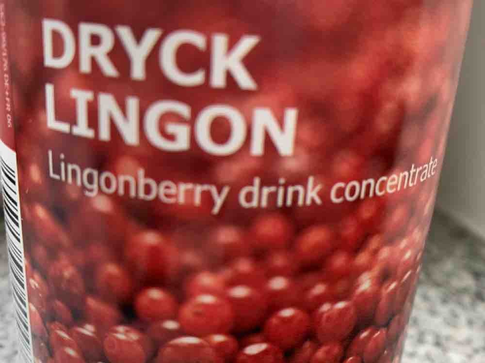 Dryck Lingon Preiselbeersirup von KSiGh | Hochgeladen von: KSiGh