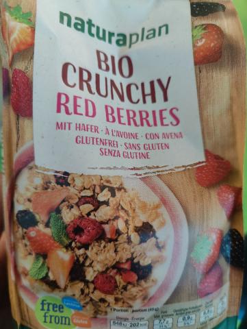 Bio Crunchy Red Berries, mit Hafer / Glutenfrei von yayo | Hochgeladen von: yayo