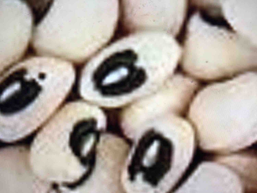 Schwarze Augenbohnen, gekocht von amcosta925 | Hochgeladen von: amcosta925