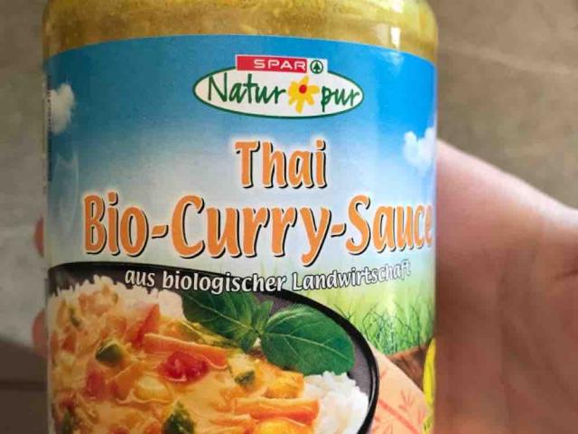 Thai Bio-Curry-Sauce von LenaPrime | Hochgeladen von: LenaPrime