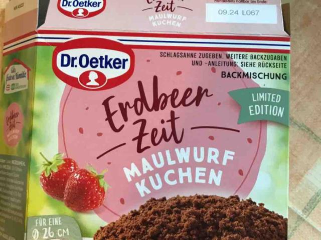 Maulwurfkuchen, mit Erdbeeren von Elocin2015 | Hochgeladen von: Elocin2015