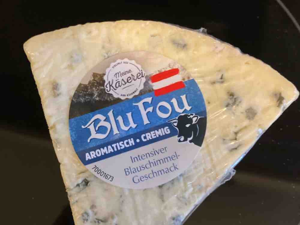 Blu Fou, Blauschimmel Käse von julianbartl | Hochgeladen von: julianbartl