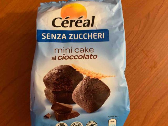 Mini cake Al cioccolato, Senza zuccheri by Lunacqua | Uploaded by: Lunacqua