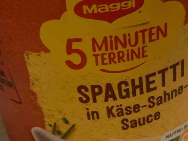 5 Minuten Terrine, Spaghetti in Käse-Sahne-Sauce by hi965 | Uploaded by: hi965