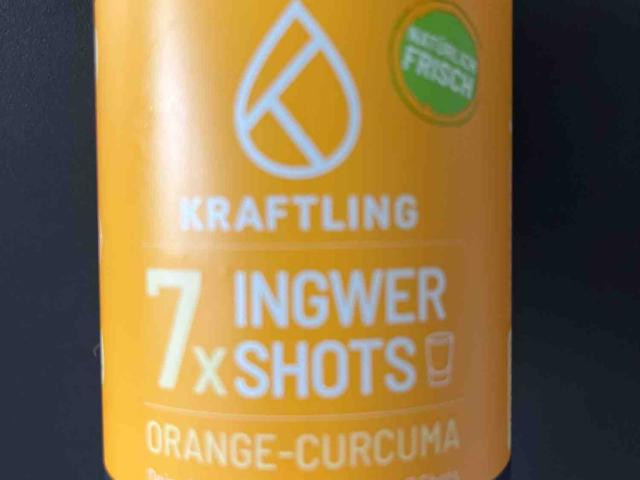 Ingwer Shots, Orange-Curcuma von Kuddel87 | Hochgeladen von: Kuddel87