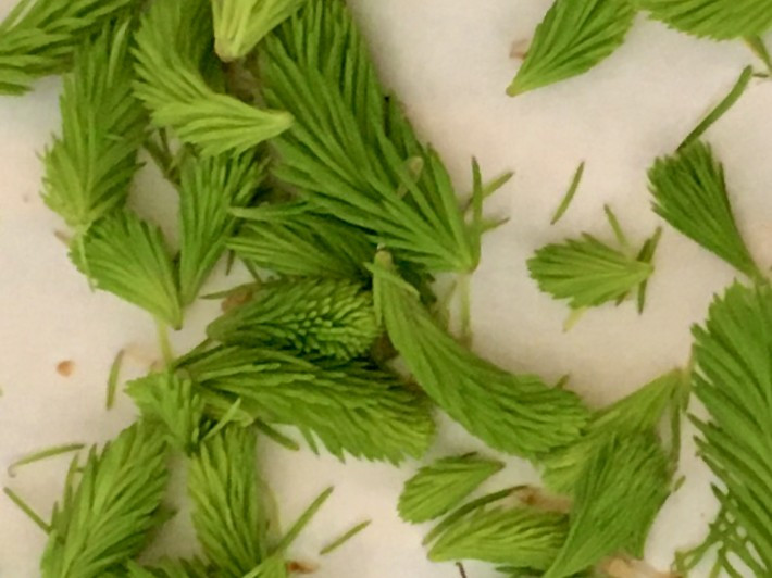 Hochgeladen von: muellpanda42