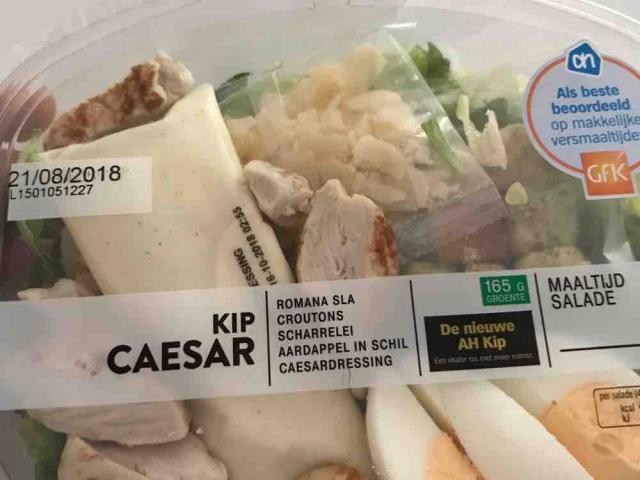 Kip Caesar Salade von Uwe60KA | Hochgeladen von: Uwe60KA