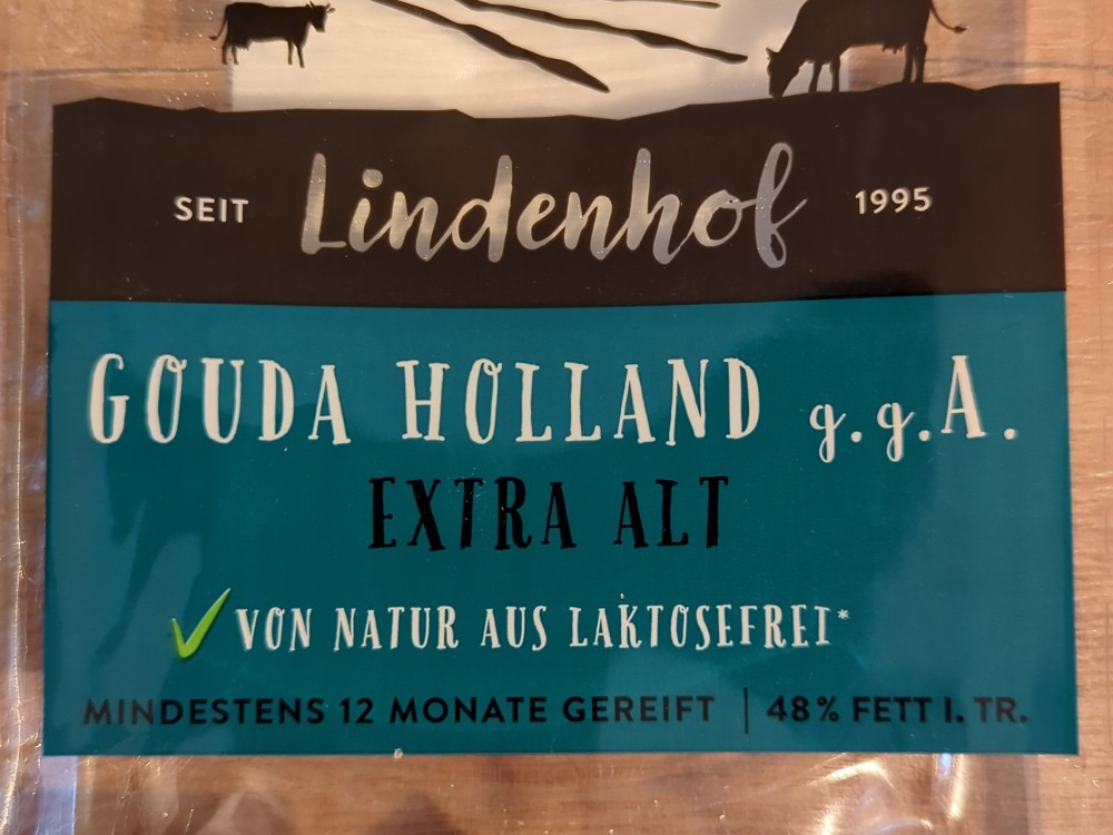 Gouda Holland extra alt von Meehli | Hochgeladen von: Meehli