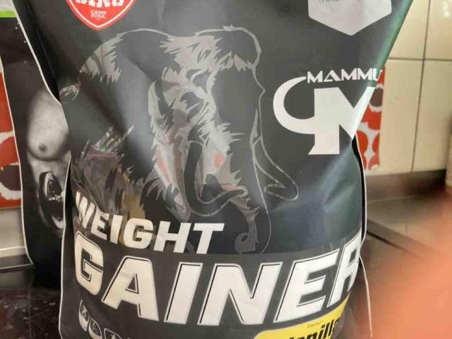 Weight Gainer, Vanille + Creatinmonohydrat von Scout | Hochgeladen von: Scout