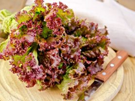 Hochgeladen von: j.zels