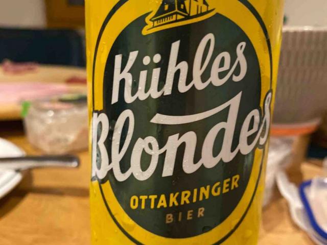 Kühles Blondes, Bier von antonweil | Hochgeladen von: antonweil