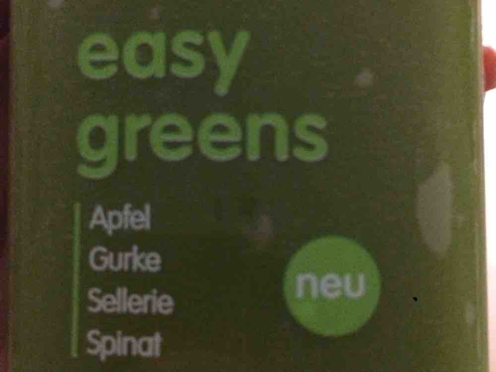 Easy Greens Smoothie, Apfel Gurke Spinat  von suzzi | Hochgeladen von: suzzi