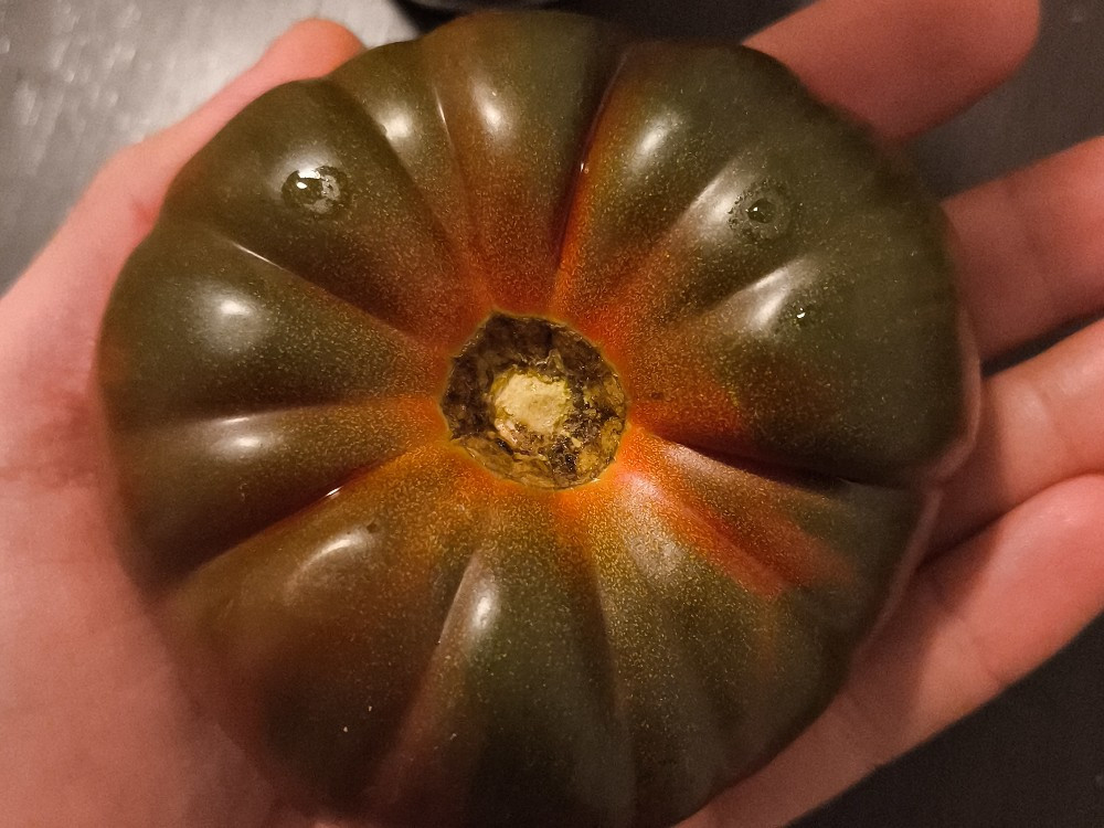 Hochgeladen von: DerOptimierer