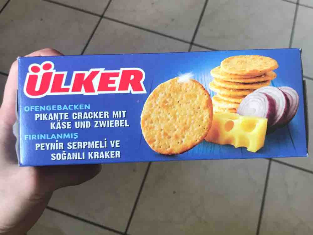 Käse und Zwiebel cracker von elisabernice | Hochgeladen von: elisabernice