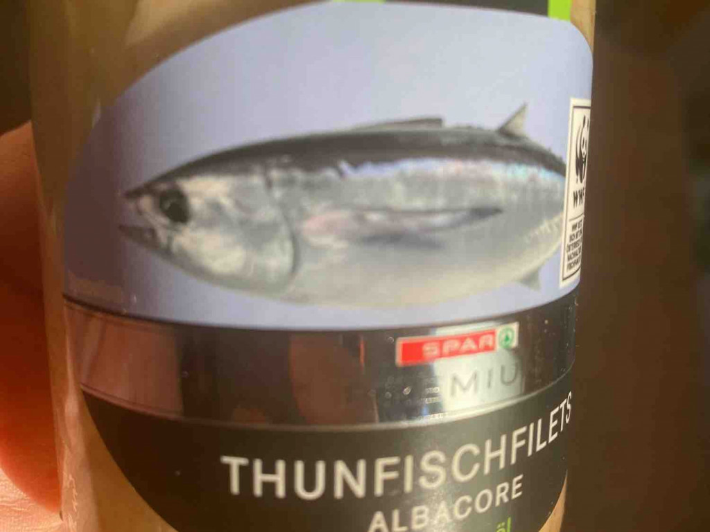 thunfischfilets, albacore in olivenöl von Gerda10000 | Hochgeladen von: Gerda10000