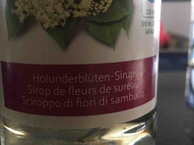 Holunderblüten-sirup von Caspar | Hochgeladen von: Caspar