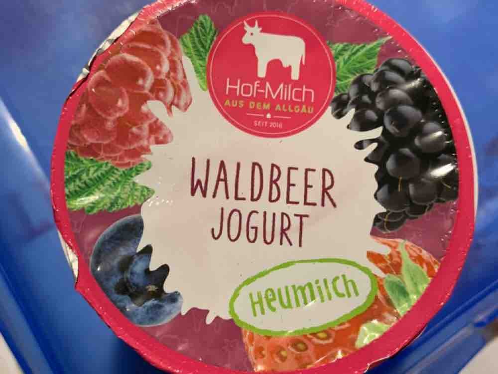 Waldbeer Joghurt Heumilch von Souris | Hochgeladen von: Souris