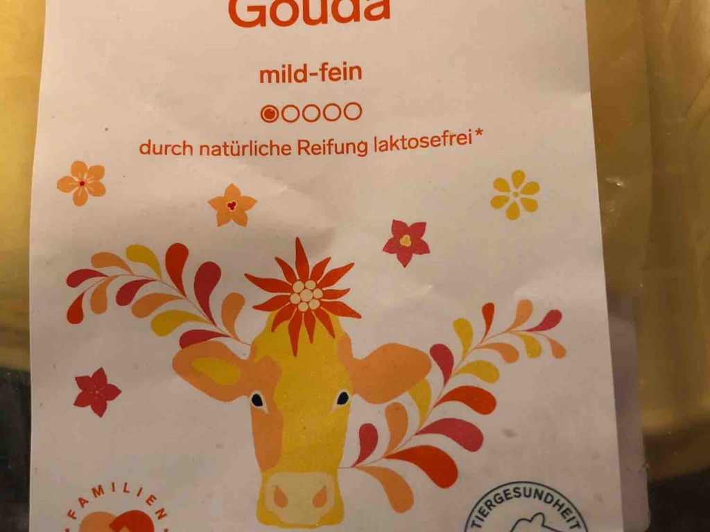 Premium Gouda von WienTina | Hochgeladen von: WienTina Premium Gouda von WienTina | Hochgeladen von: WienTina