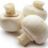 Champignon, frisch von Andrex85 | Hochgeladen von: Andrex85