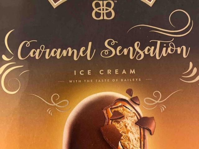 baileys ice cream, caramel by roedshon947 | Hochgeladen von: roedshon947