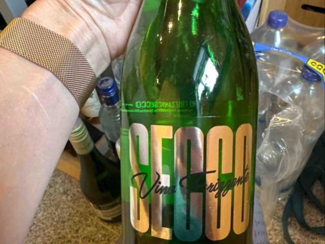 Vino Frizzante Secco, Perlwein trocken von Ebutu | Hochgeladen von: Ebutu Vino Frizzante Secco, Perlwein trocken von Ebutu | Hochgeladen von: Ebutu