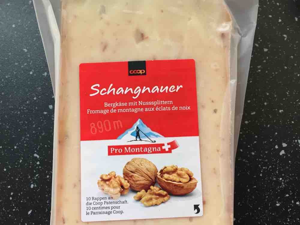 Schangnauer Bergkäse mit Nüssen, Pro Monragna von schtinii | Hochgeladen von: schtinii
