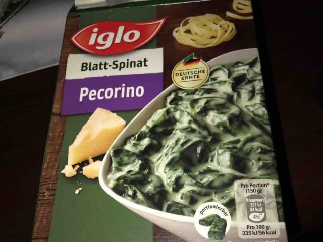 Blatt-Spinat mit Pecorino von mcbri | Hochgeladen von: mcbri