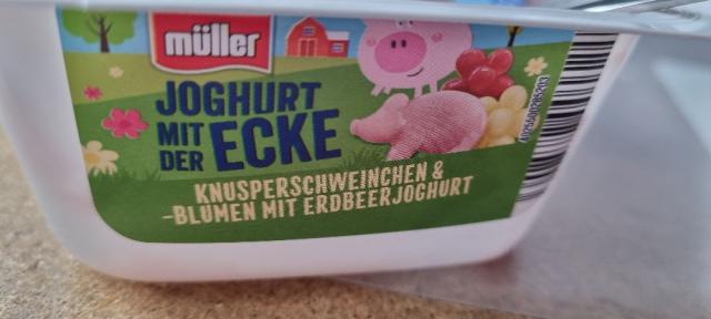 Joghurt mit der Ecke von Quelli | Hochgeladen von: Quelli