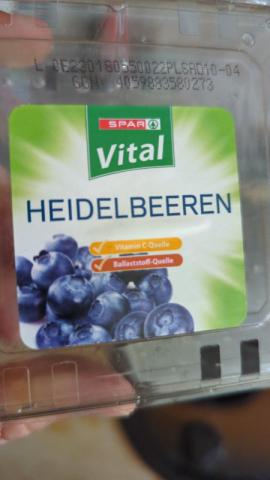 Heidelbeeren by mr.selli | Uploaded by: mr.selli