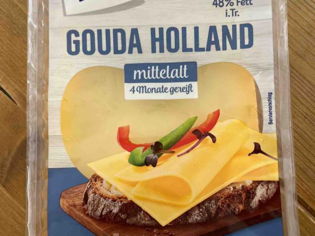 Gouda Holland mittelalt, 4 Monate gereift von tobiaszett | Hochgeladen von: tobiaszett