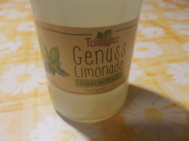 Genuss-Limonade, Limette-Minze von maroba | Hochgeladen von: maroba