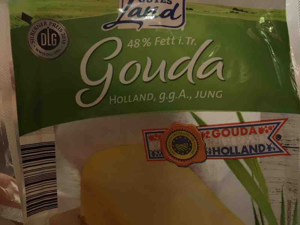 Gouda Holland, 48% Fett i. Tr. von amy3 | Hochgeladen von: amy3