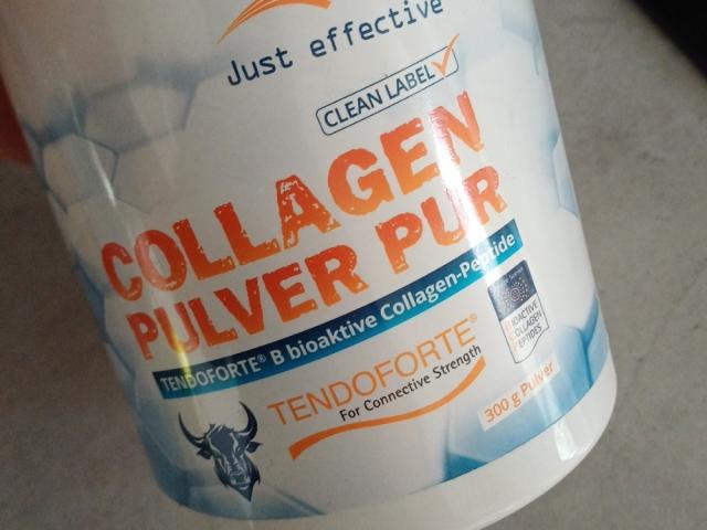 Hochgeladen von: i-amphilcf