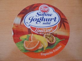 Sahne Joghurt, Tropische Früchte | Hochgeladen von: Highspeedy03