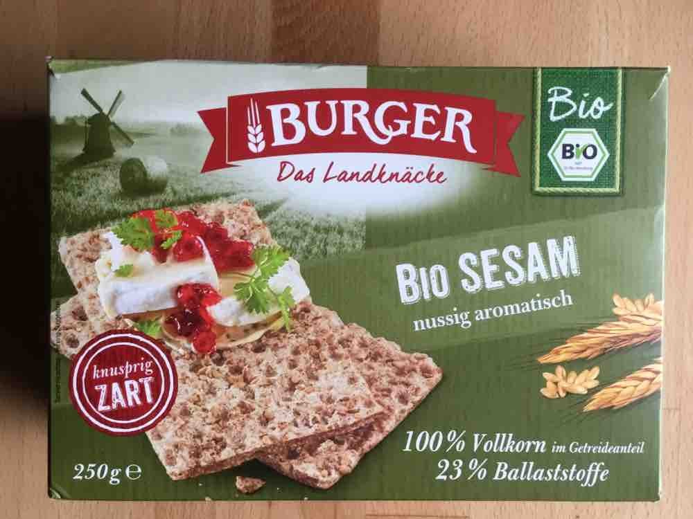 Burger Bio Kncke, 100 % Vollkorn von Bernd57 | Hochgeladen von: Bernd57