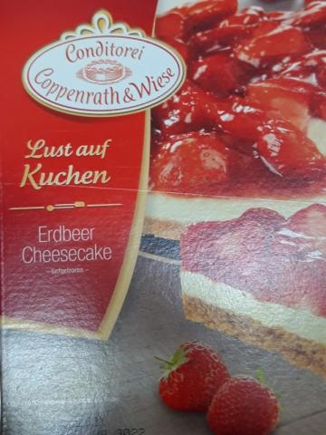 Erdbeer Cheesecake | Hochgeladen von: Orixa