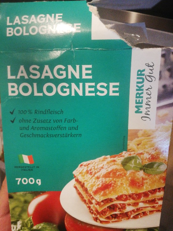 Lasagne Bolognese von mariokarolyi589 | Hochgeladen von: mariokarolyi589