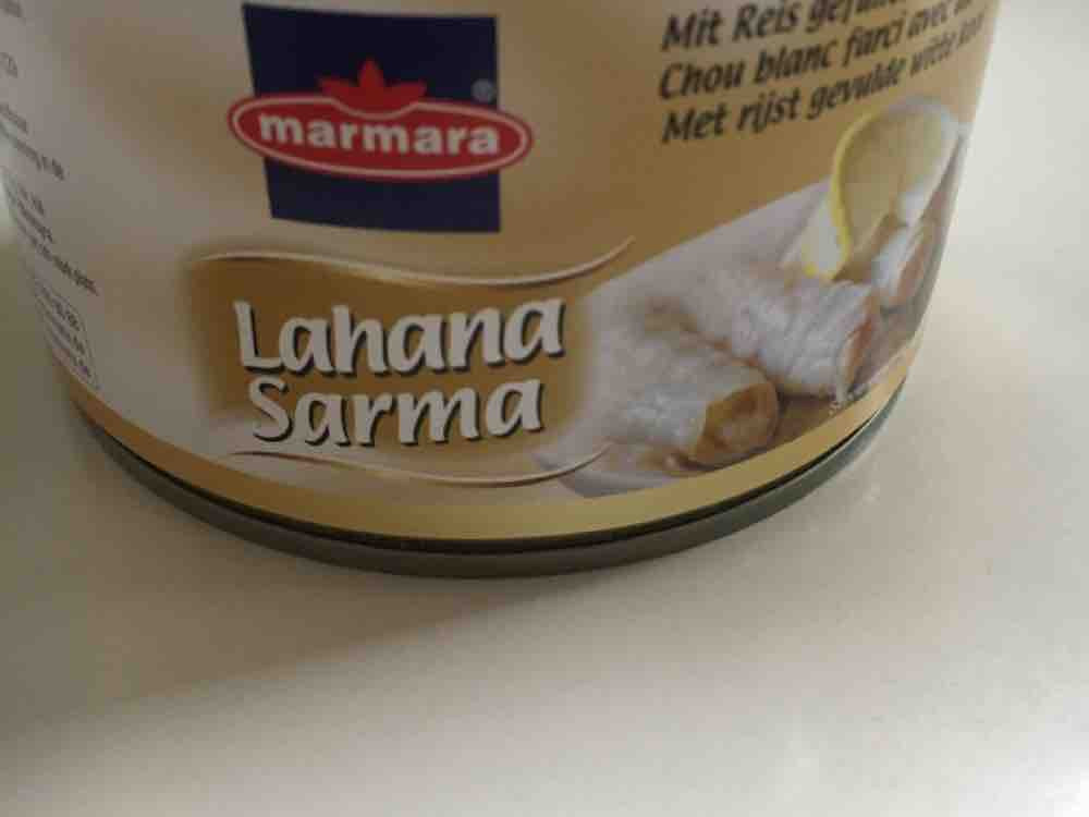 lahana sarma von laradi | Hochgeladen von: laradi