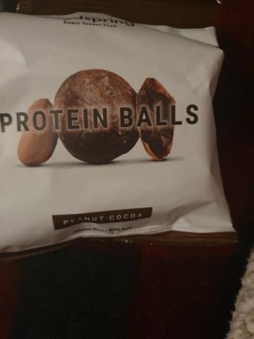 Proteinballs Erdnuss-Kakao von Nelly1989 | Hochgeladen von: Nelly1989