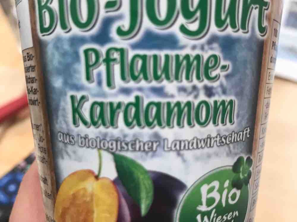 Bio Joghurt Pflaume -Zimt von Kathalyn | Hochgeladen von: Kathalyn