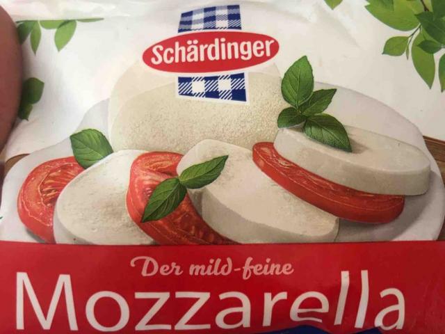 österreichischer mozzarella von momo22 | Hochgeladen von: momo22